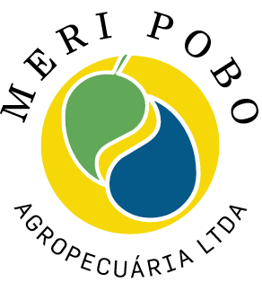 13-meripobo